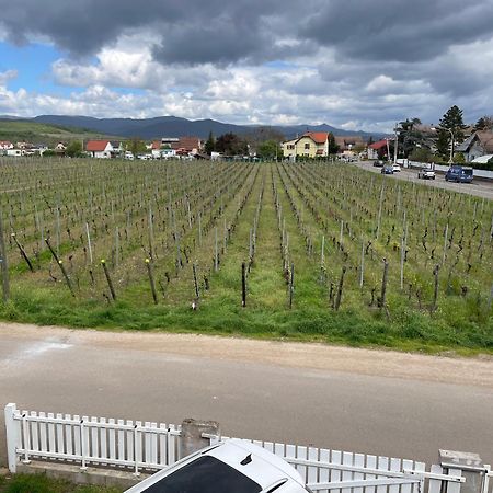 Au Petit Logelbach Wintzenheim Exterior foto